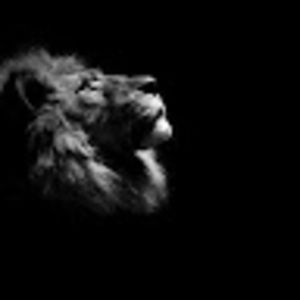 Meet your Posher, Jalisa